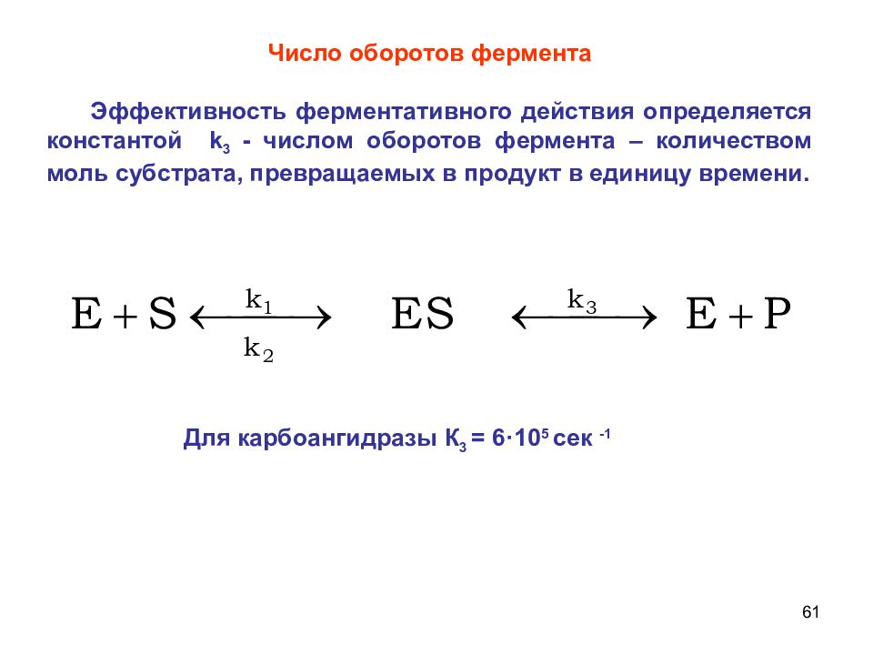 Число оборотов. Число оборотов фермента. Число оборотов фермента это в биохимии. Активность и число оборотов ферментов. Число оборотов фермента формула.