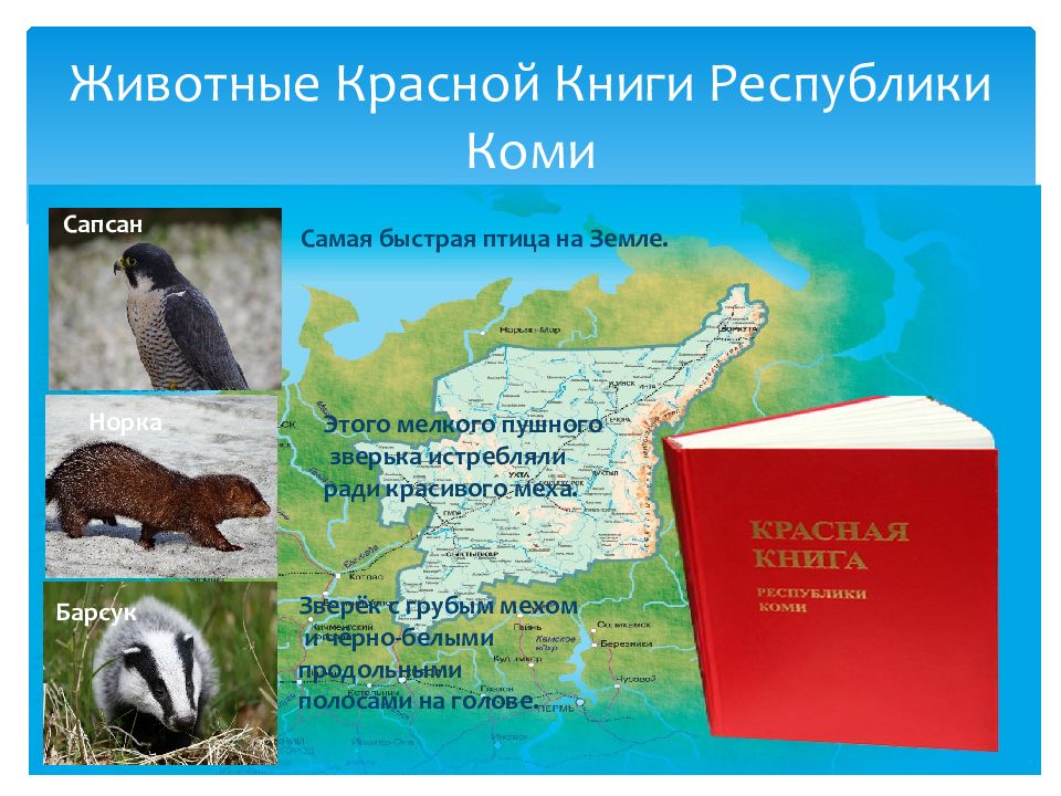 Красная книга республики коми презентация