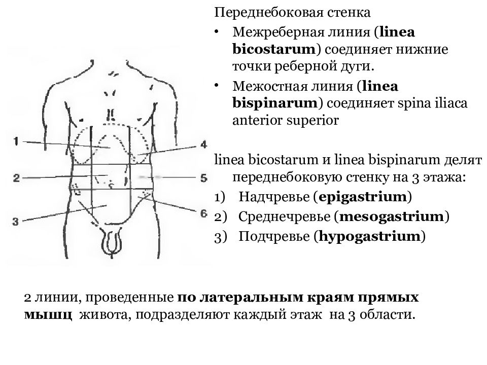 Переднебоковая стенка