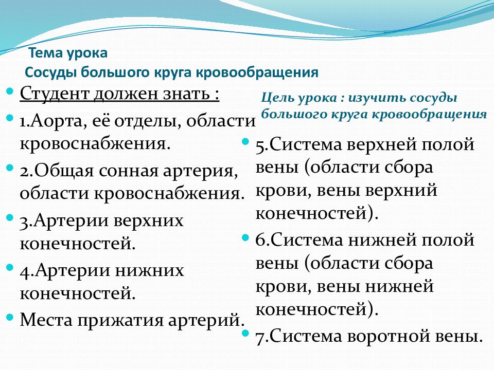 Т ема урока Сосуды большого круга кровообращения