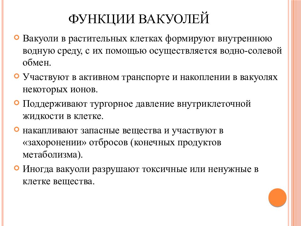 Вакуоль функции. Функции вакуолей. Функции вакуоли в животной клетке. Какую функцию выполняют вакуоли в клетке. Функции вакуоли у человека.