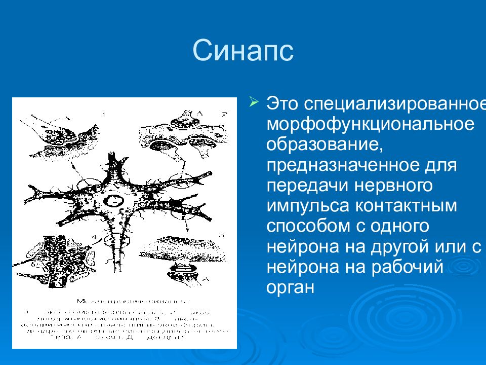 Что означает крест нейрона и одно крыло.