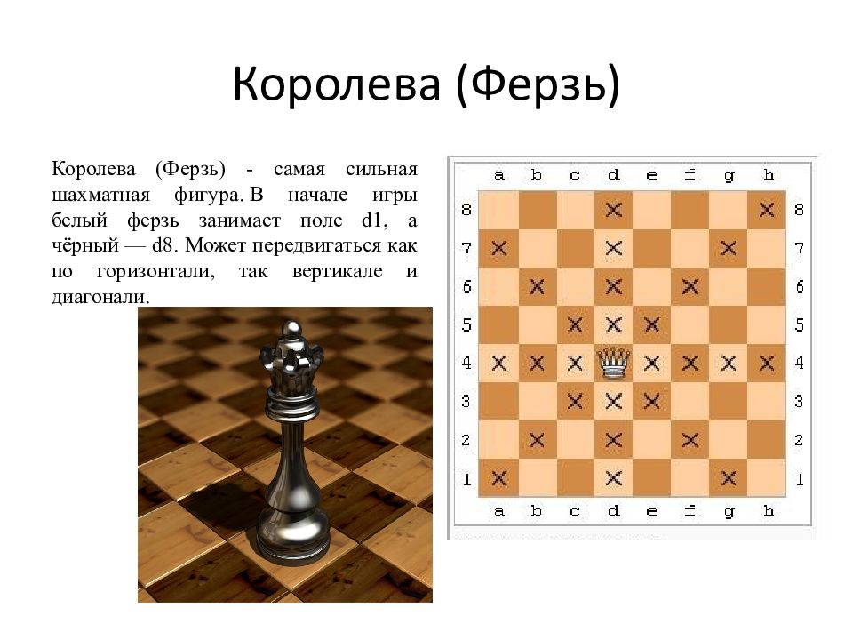 Как ходит ферзь в шахматах. Королева и ферзь фигуры в шахматах. Шахматы расстановка фигур на доске Король и ферзь.