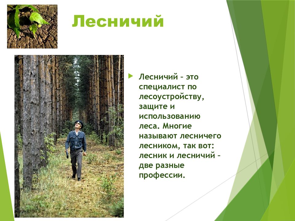 И снова Грета... - ЯПлакалъ