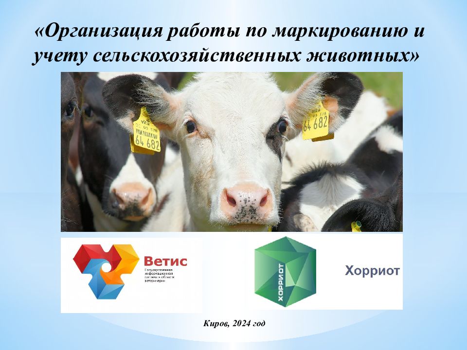 Организация работы по маркированию и учету сельскохозяйственных