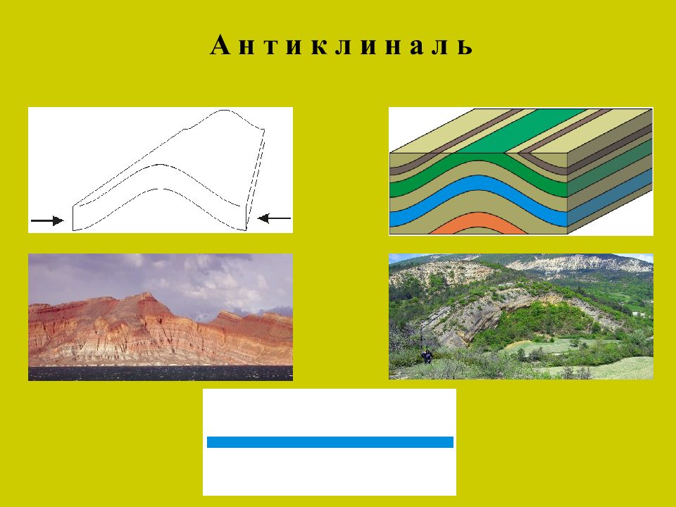 Тектоническая форма. Антиклиналь. Дислокационные тектонические движения. Виды тектонических нарушений. Пликативные тектонические движения.