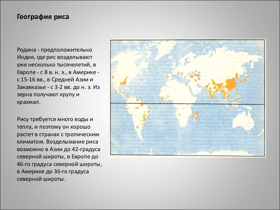 Где выращивают рис в россии карта