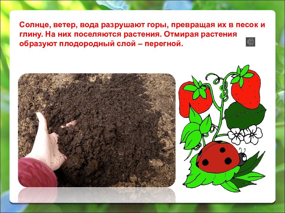 Почва презентация 7 класс. Почва презентация. защита почвы. охрана почвы. охрана почв кратко.
