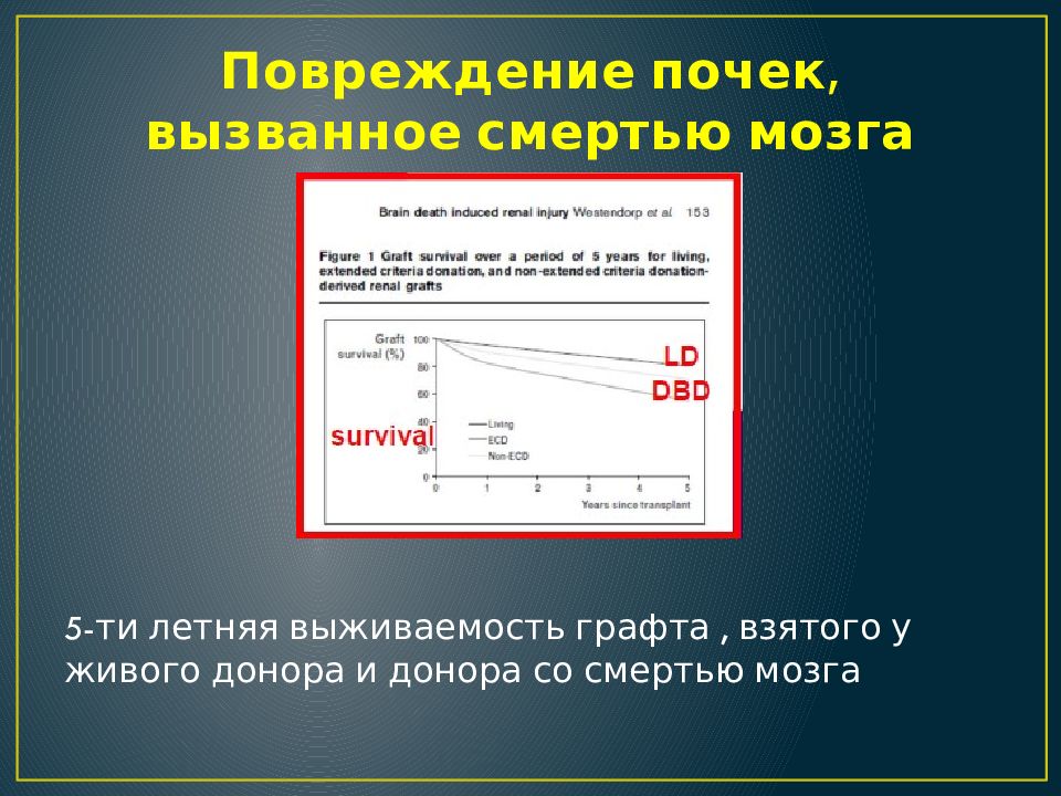 Констатация времени. Констатация смерти мозга презентация. Как вызвать в человеке смерть.