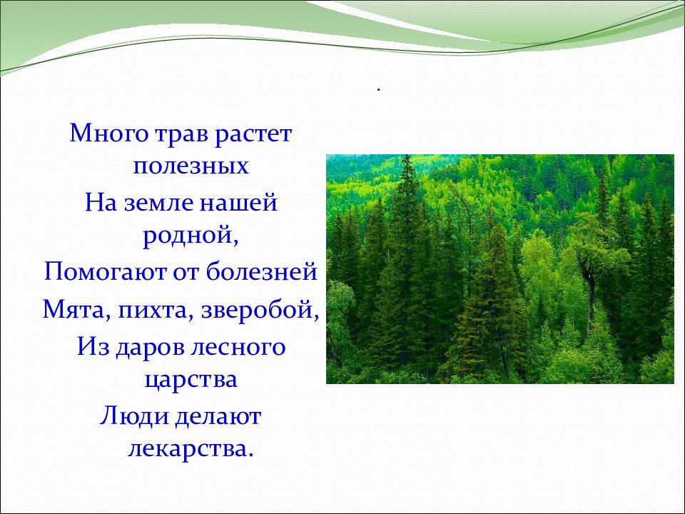 Дары природы презентация