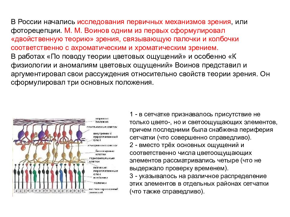 Первичный механизм. Фоторецепция физиология. Светочувствительные рецепторы палочки и колбочки. Механизм фоторецепции. Механизм фоторецепции гистология.