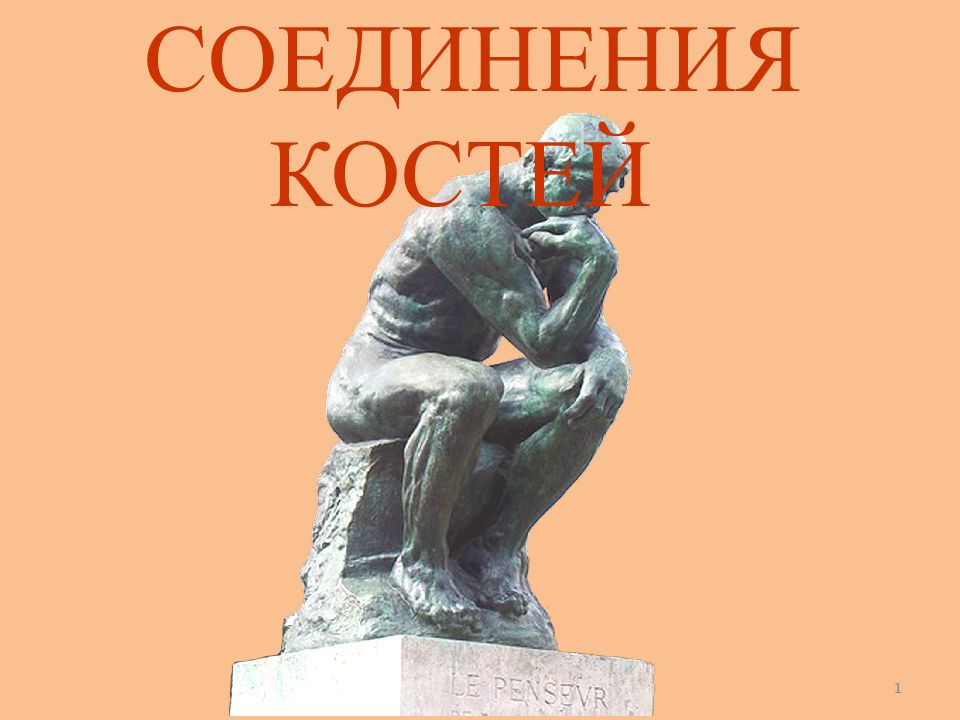 1 СОЕДИНЕНИЯ КОСТЕЙ
