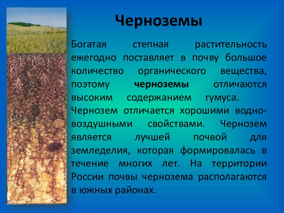 Растительный покров это почва. Растительный мир черноземы почв в России. Характеристика почв России черноземы. Почва чернозем описание. Почва презентация.