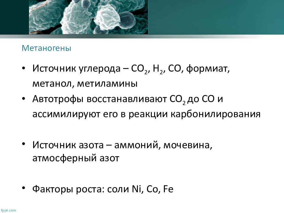 Метаногенные археи поставщики органических соединений в древней биосфере презентация