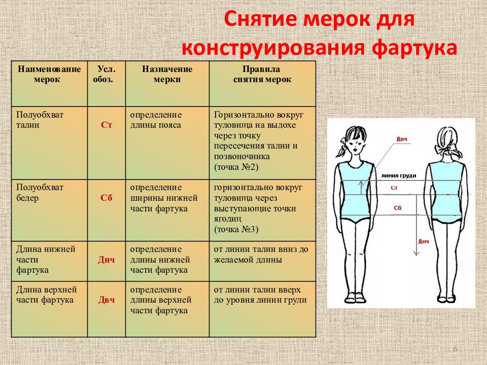 Конструктивные линии фигуры. Снятие мерок с фигуры человека. Конструктивные линии фартука. Снятие мерок для юбки.