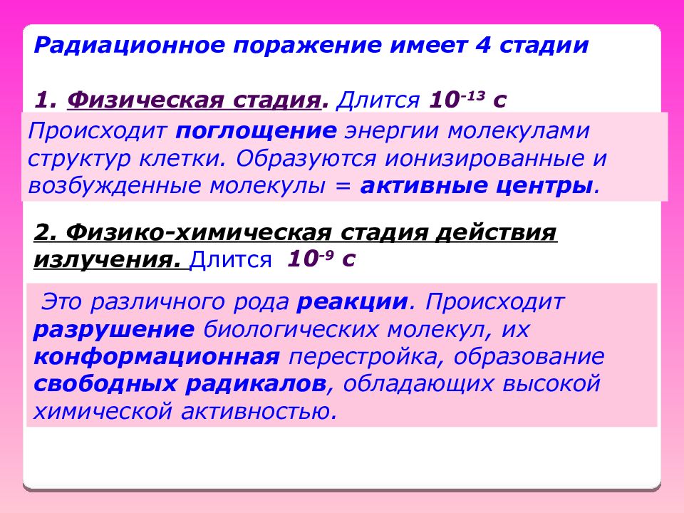 Стадии действия. Стадии радиационного поражения клетки. Три этапа радиационного поражения клетки. 3 Этапа радиационного поражения клетки. Этапы радиационного поражения клетки организма.