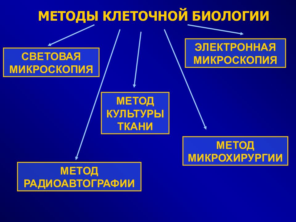 Электронная биология. Методы биологии световая микроскопия. Метод световой микроскопии в биологии. Цветоваямикроскопия методы. Методы исследования клетки световая.