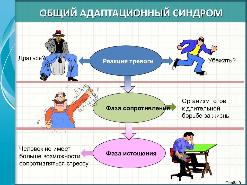 Общий адаптационный синдром картинки