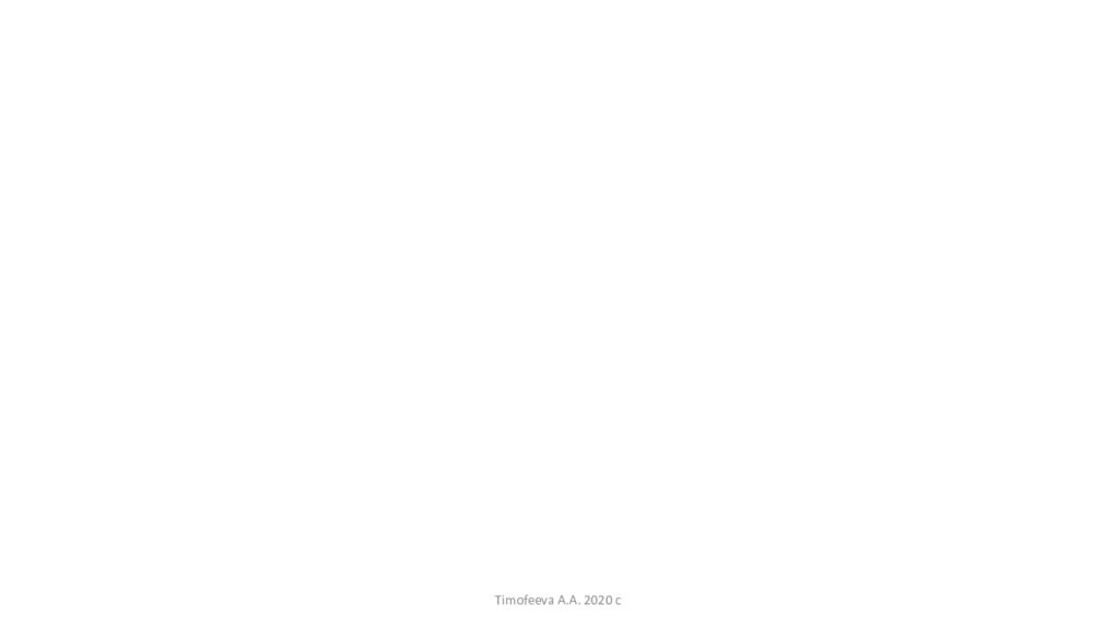 Timofeeva A.A. 2020 c