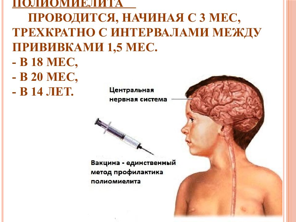 Полиомиелит прививка схема вакцинации. Прививка от полиомиелита. Интервал между прививками от полиомиелита. Профилактика полиомиелита.