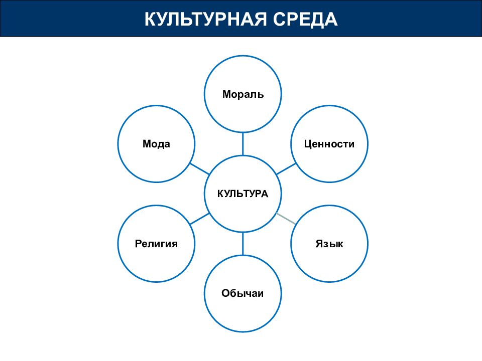 Проекты компании среда