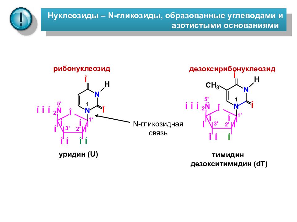 Липиды нуклеотиды. Строение нуклеозида тимидина. Нуклеозид тимидин. Уридин тимидин. Нуклеозиды гликозидная.