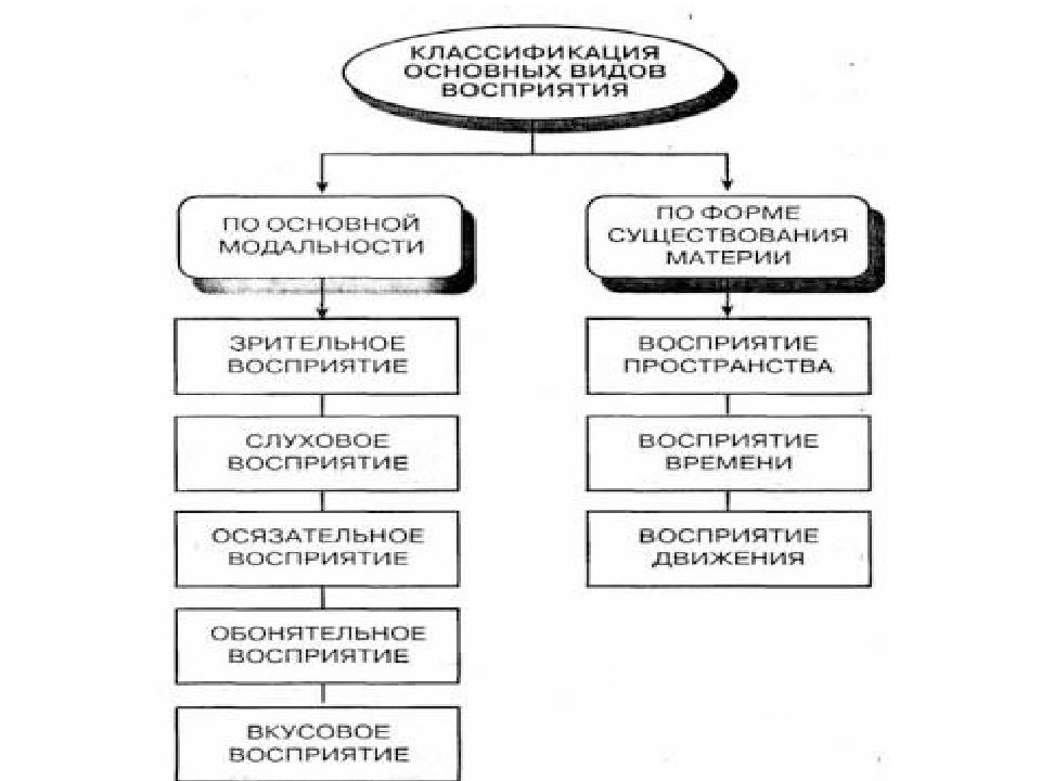 Функции восприятия. Схема возникновения восприятия в психологии. Модальность высших психических функций схема. Виды восприятия у дошкольников. Психофизиология движения схема.