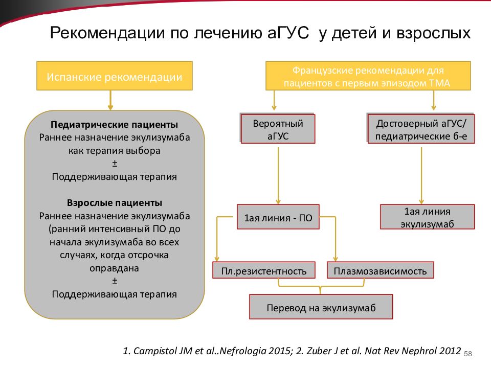 Гемолитико уремический синдром по утвержденным клиническим рекомендациям. Гус у детей клинические рекомендации. Гемолитический уремический синдром патогенез. Атипичный Гус патогенез. Атипичный гемолитико-уремический синдром.