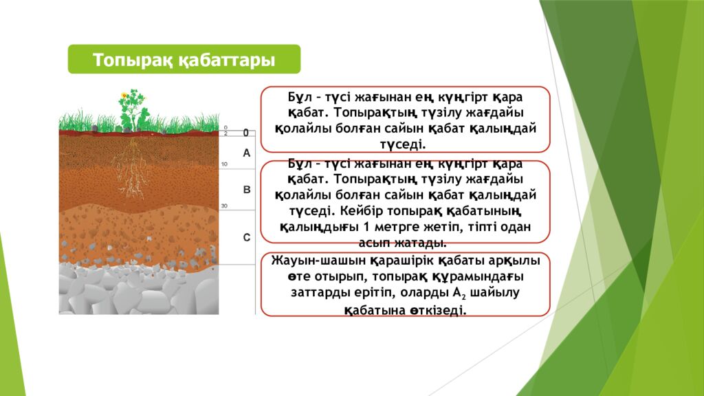 ТОПЫРАҚ ЖӘНЕ ОНЫҢ ҚҰРАМЫ МЕН ҚҰРЫЛЫМЫ