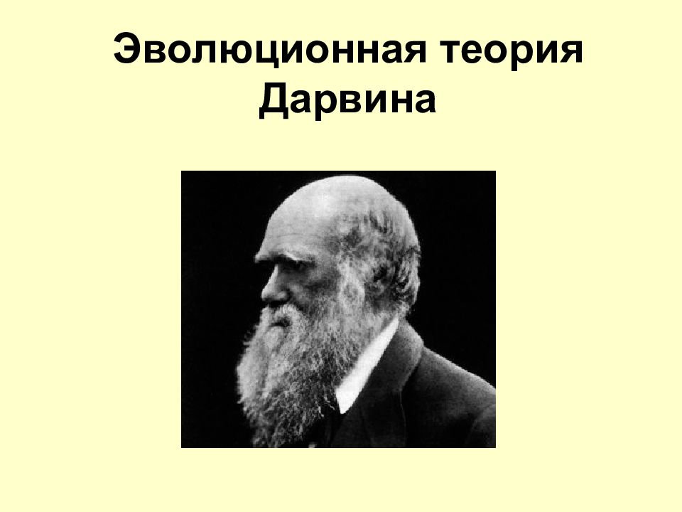 Эволюционная теория Дарвина