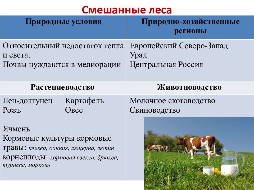 Дайте характеристику отрасли растениеводства по выбору