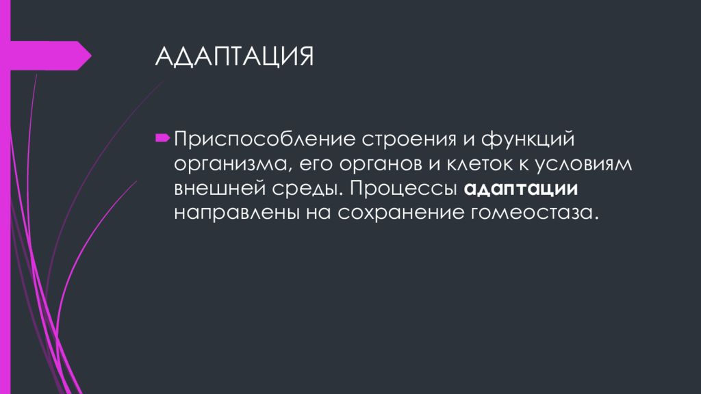 Личность типа а презентация