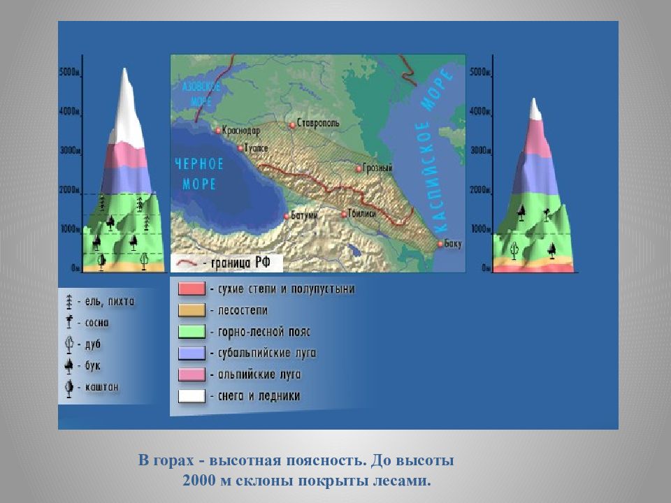 Презентация 8 класс география многоэтажность природы гор