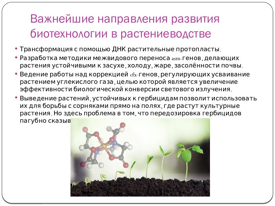 Какого растения получают инновационный ингредиент филобиома актив. Презентация на тему биотехнология. Биотехнология растений. Биотехнологии в растениеводстве. Презентация по биотехнологии.