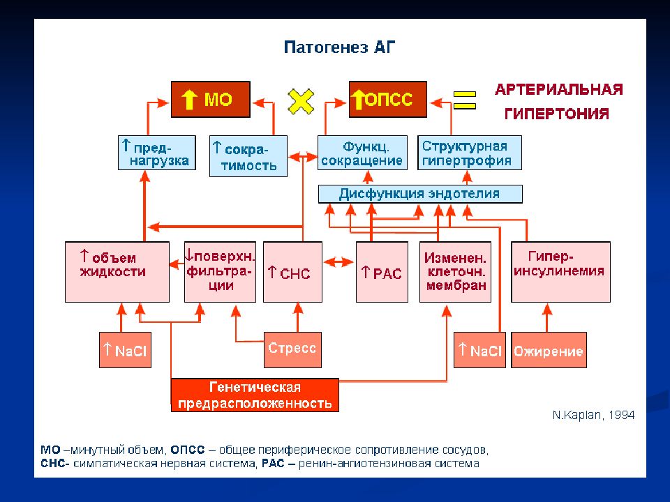 Артериальная гипертензия патогенез. Патогенез артериальной гипертензии. Патогенез артериальной гипертонии. Патогенез эссенциальной артериальной гипертензии. Патогенез гипертонической болезни схема.
