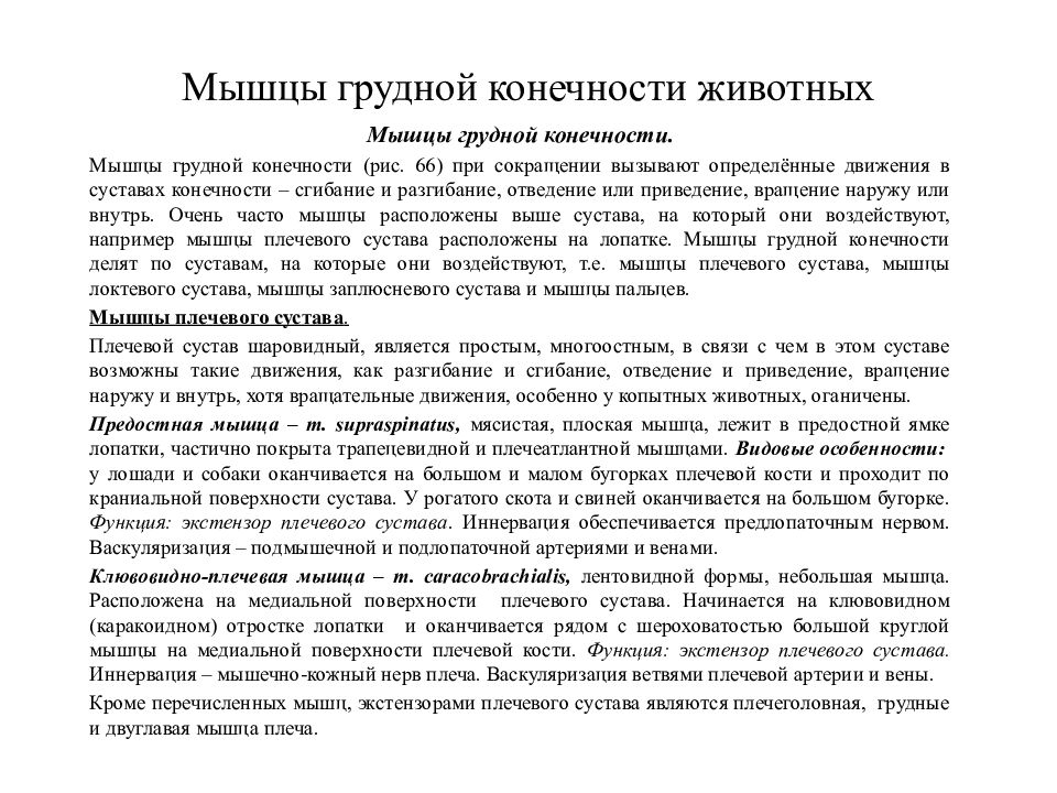 Мышцы грудной конечности животных