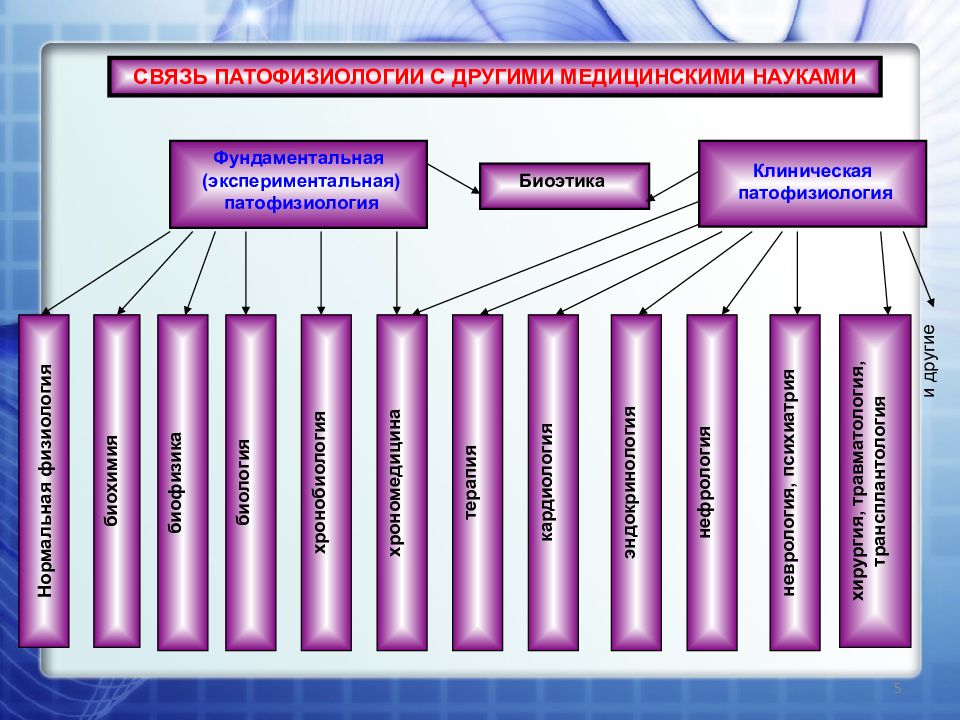 Патофизиология это. Клиническая патофизиология. Клиническая патофизиология разделы. Связь патофизиологии с другими науками. Связь патофизиологии с другими дисциплинами.