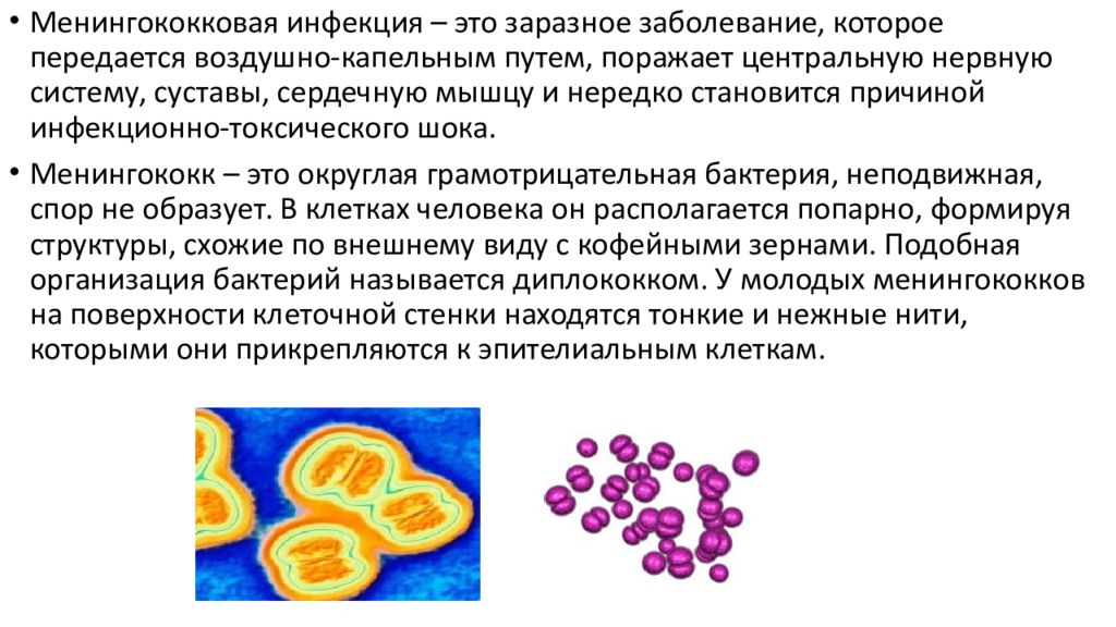 На какую инфекцию берут. Менингококковая инфекция презентация. Менингококковая инфекция патологическая анатомия презентация. Костный мозг при ВИЧ-инфекции патоморфология.