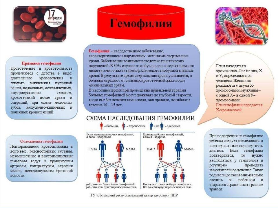 Генетика презентация егэ