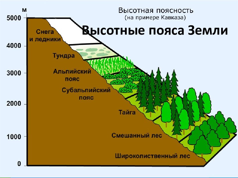 Природная зона это крупный участок. Субтропики Высотная поясность. Зоны ВЫСОТНОЙ поясности РФ. Высотная поясность гор Кавказа рисунок. Зоны ВЫСОТНОЙ поясности в России.