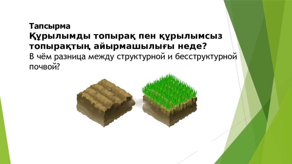 ТОПЫРАҚ ЖӘНЕ ОНЫҢ ҚҰРАМЫ МЕН ҚҰРЫЛЫМЫ