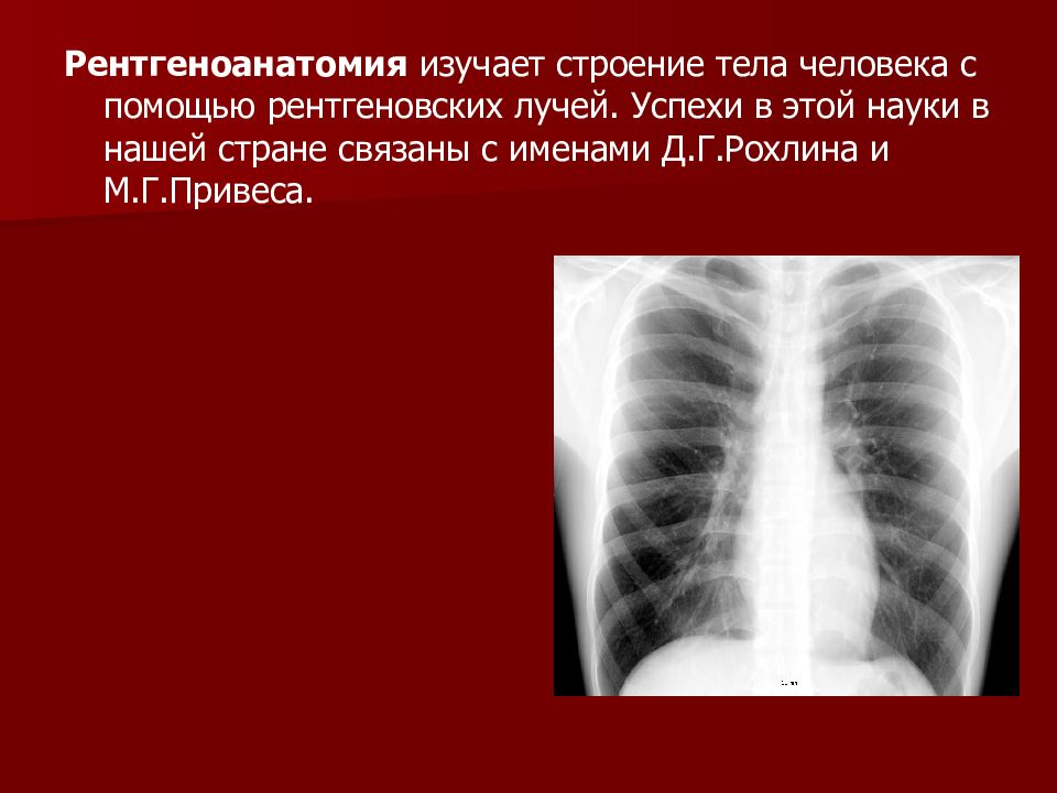 Введение в анатомию человека презентация