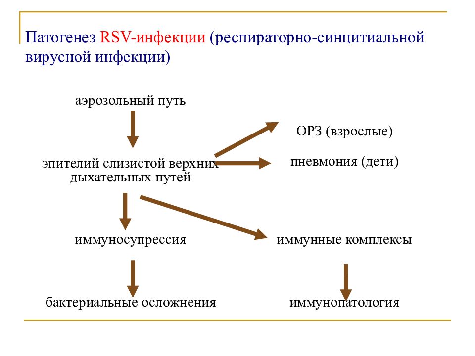 Орви микробиология презентация