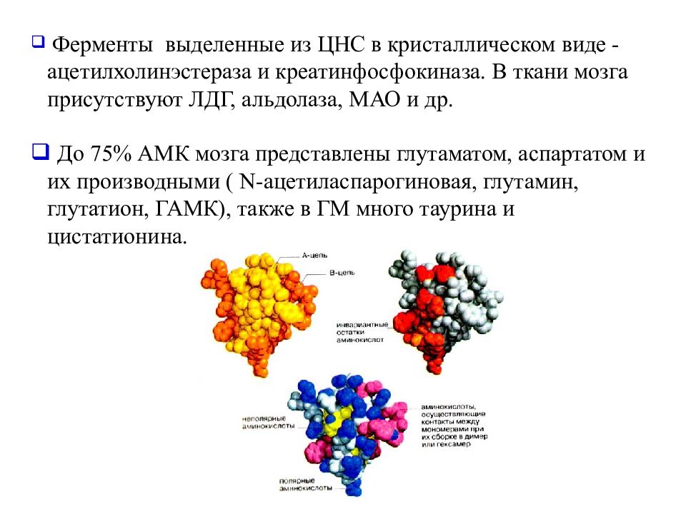 Биохимия памяти презентация