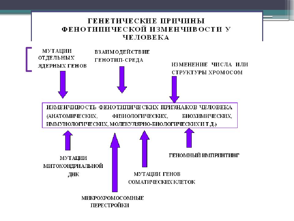 Проект геном человека реферат