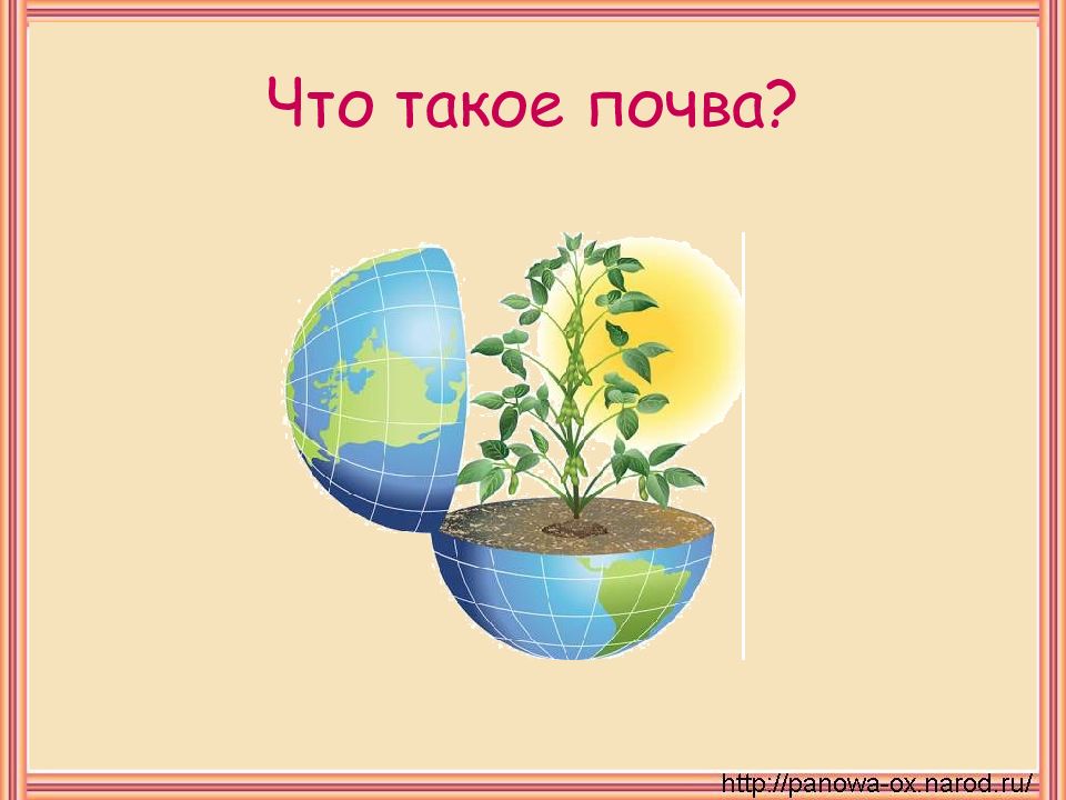 Что такое почва?