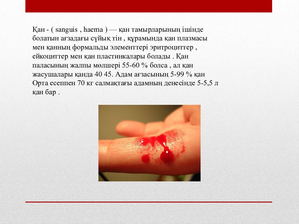 Қан - ( sanguis, haema ) — қан тамырларының ішінде болатын ағзадағы сүйық тін,