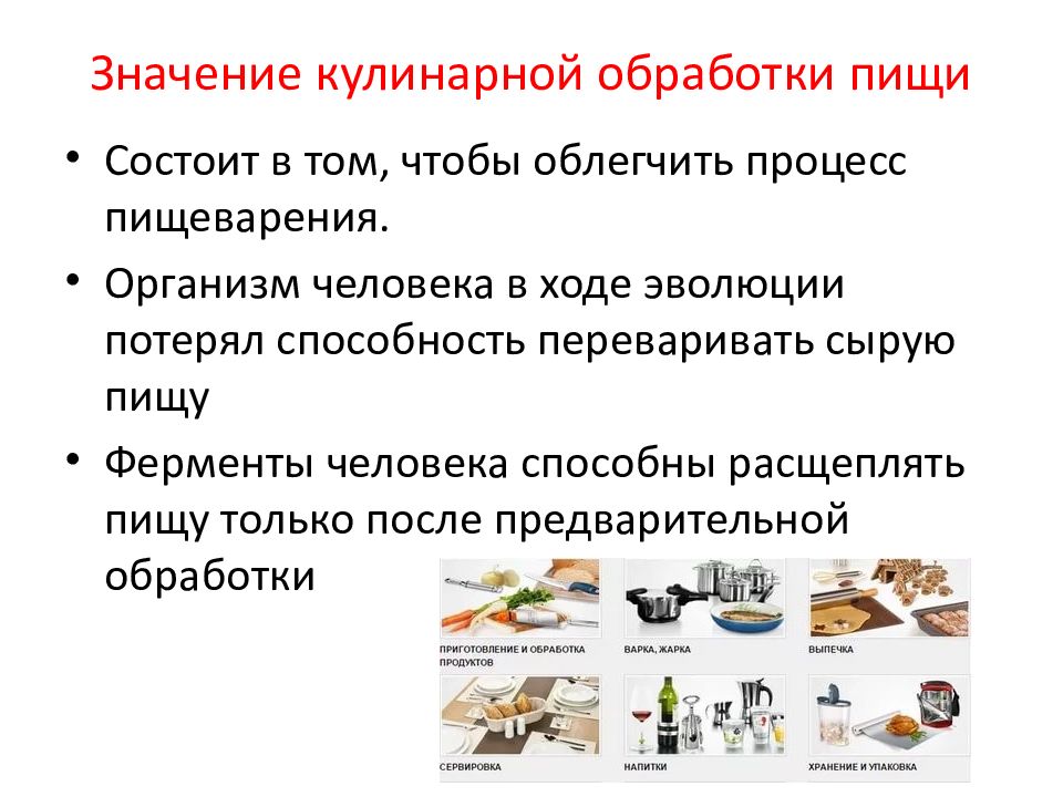 Современная индустрия обработки продуктов питания 8 класс презентация