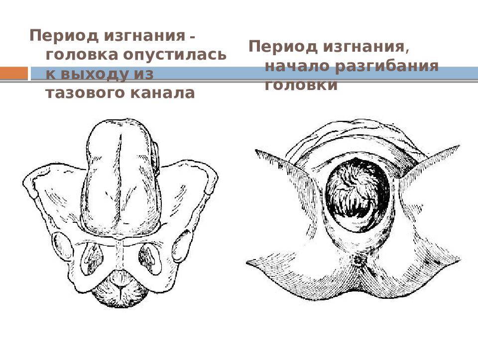 Период изгнания начинается