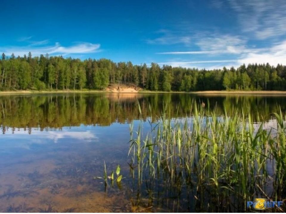 Озеро 19. Озеро Молтаево. Озеро Молтаево Алапаевский. Молтаево озеро Свердловская. Озеро Минзелинское.